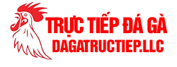 Logo đá gà trực tiếp
